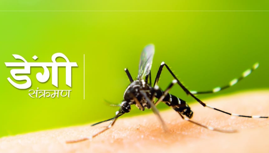 नेपाल काे ७७ जिल्ला मध्ये ७३ जिल्लामा पुग्यो डेंगु
